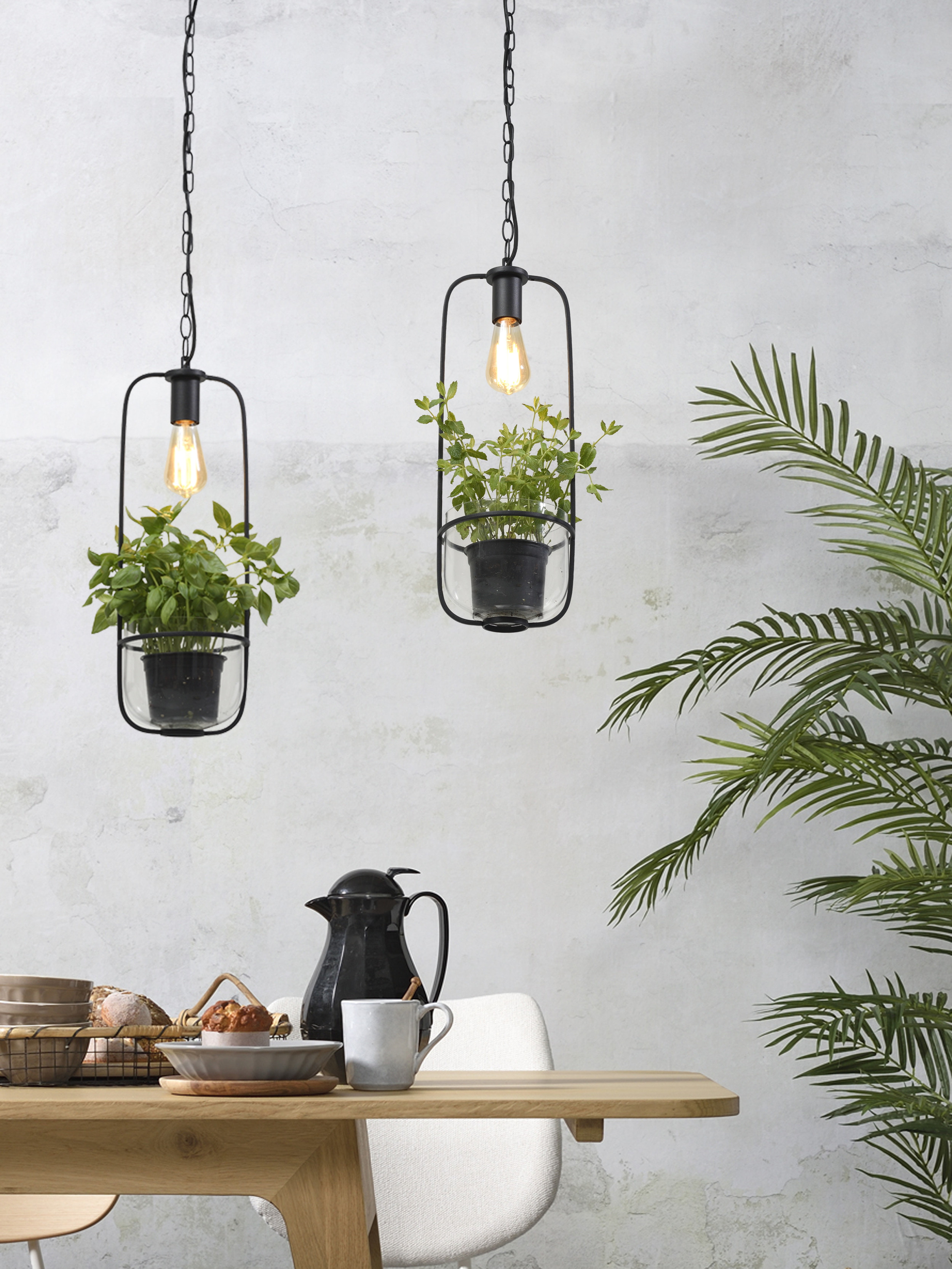 its about RoMi Hanglamp 'Florence' Met planthouder, kleur Zwart