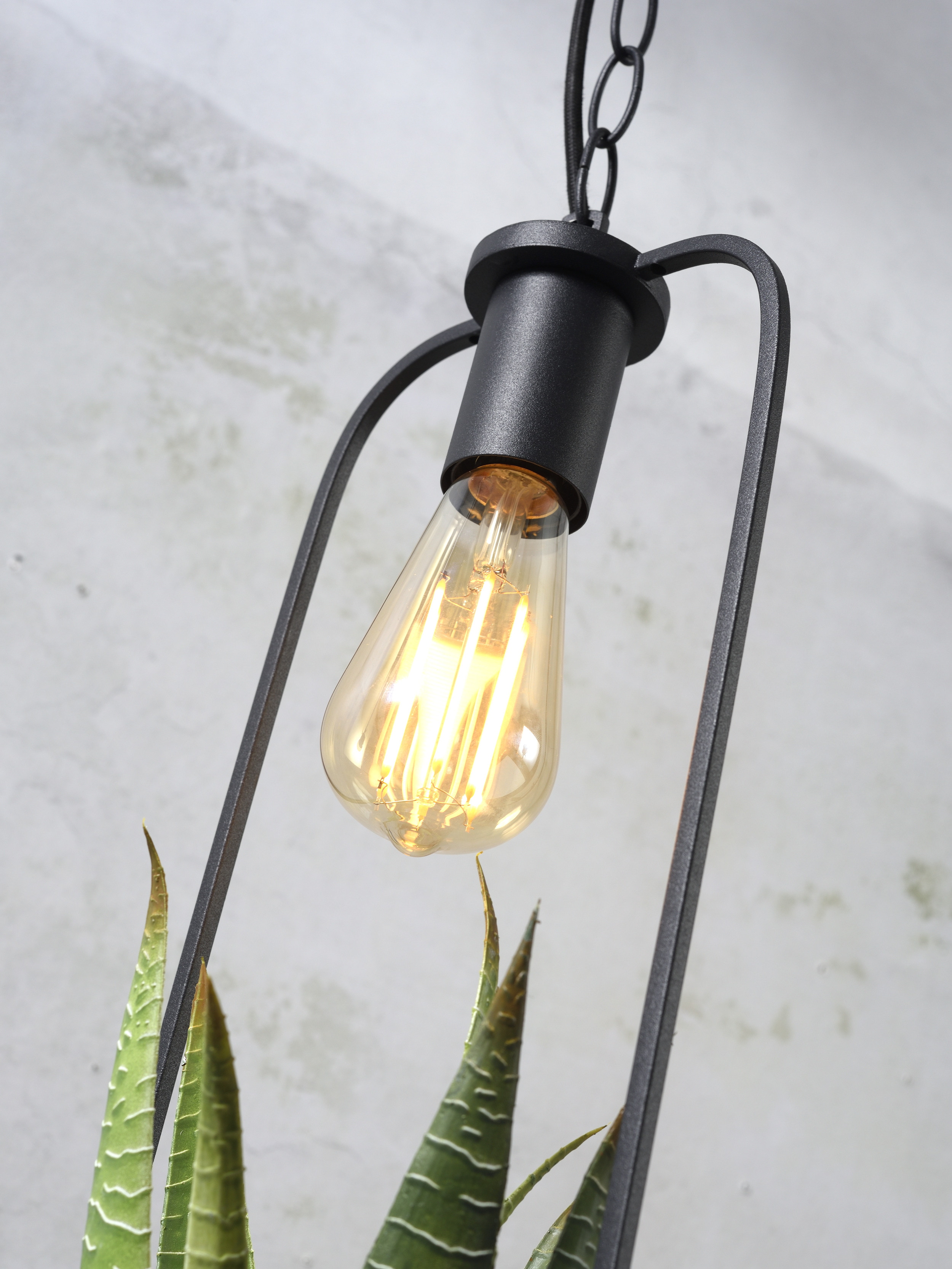 its about RoMi Hanglamp 'Florence' Met planthouder, kleur Zwart