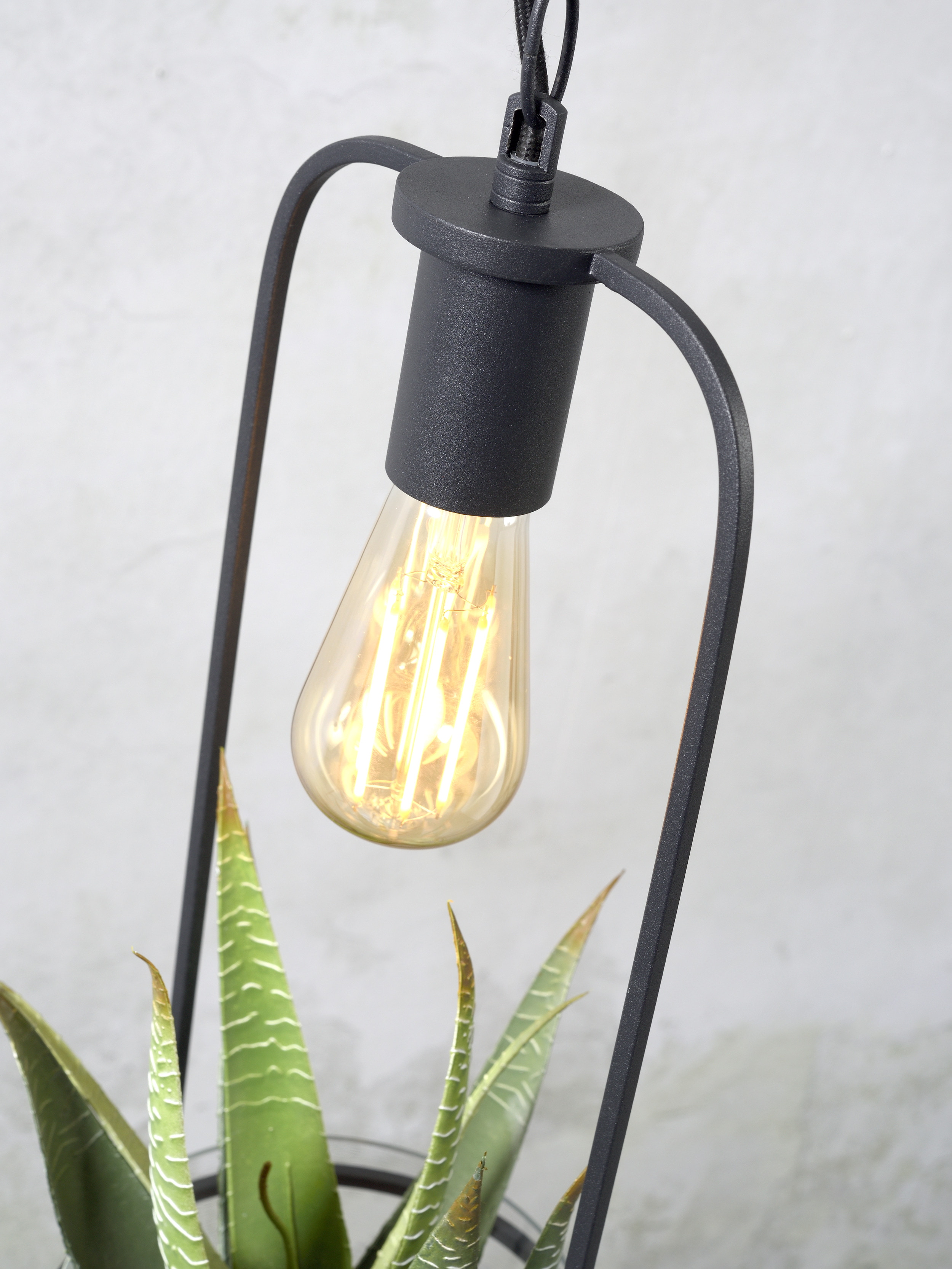 its about RoMi Hanglamp 'Florence' Met planthouder, kleur Zwart
