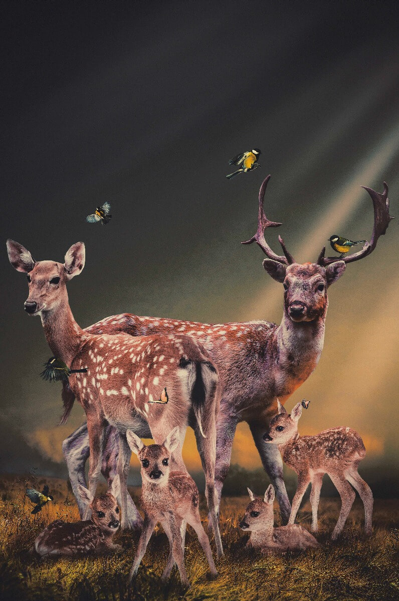 Wandkraft Thee Deer Family Dibond wit, 98 x 148cm