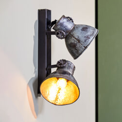 Light & Living Plafondlamp 'Elay' 2-Lamps, kleur Zilver