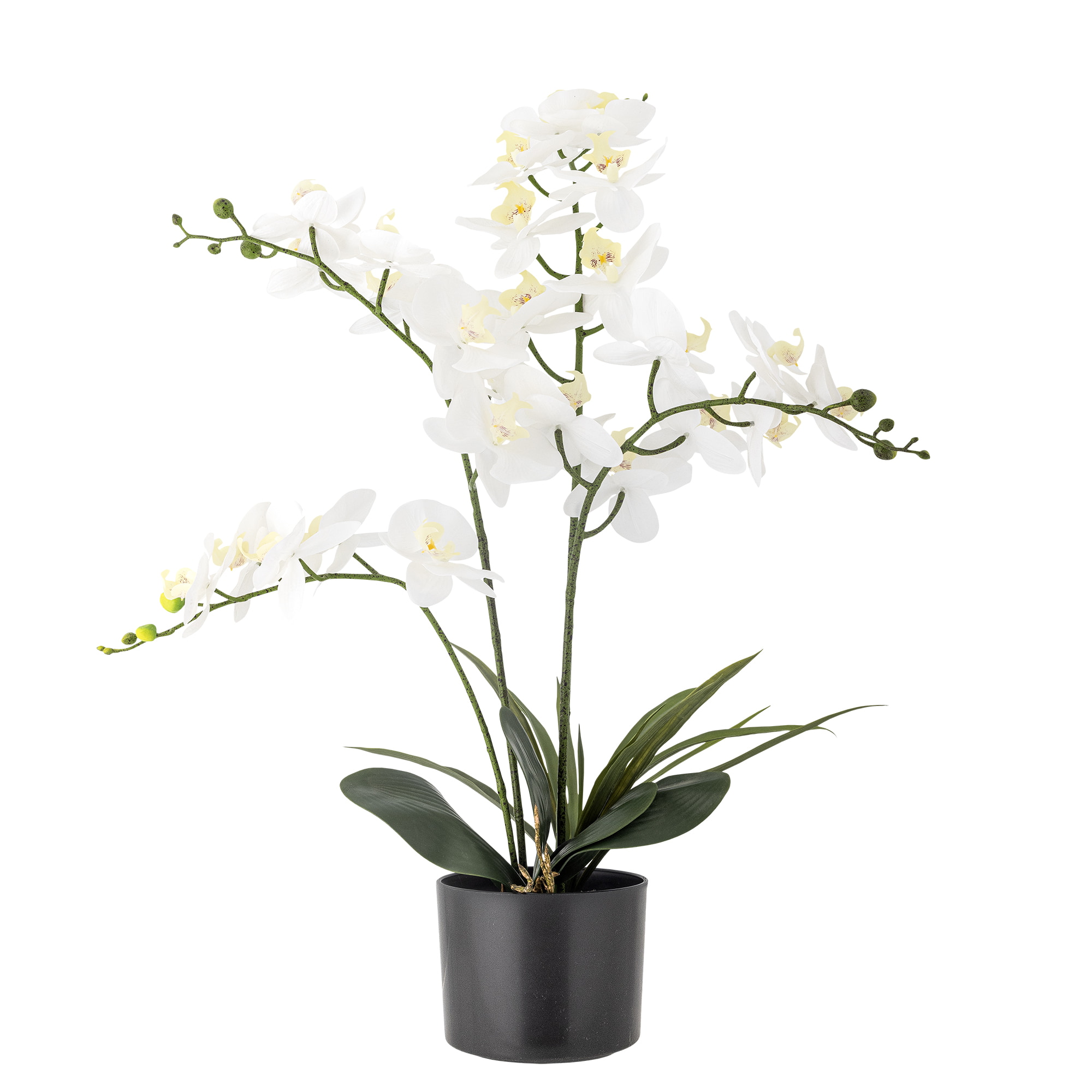 Bloomingville Kunstbloem Orchid 84cm hoog - Wit
