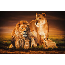 Wandkraft Wall Art 'The Lion Family' Glas, 148 x 98cm