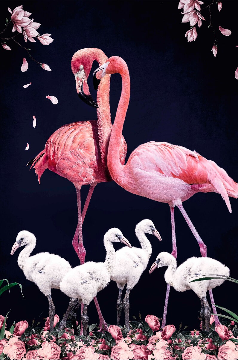 Wandkraft The Flamingo Family Glas, 98 x 148cm