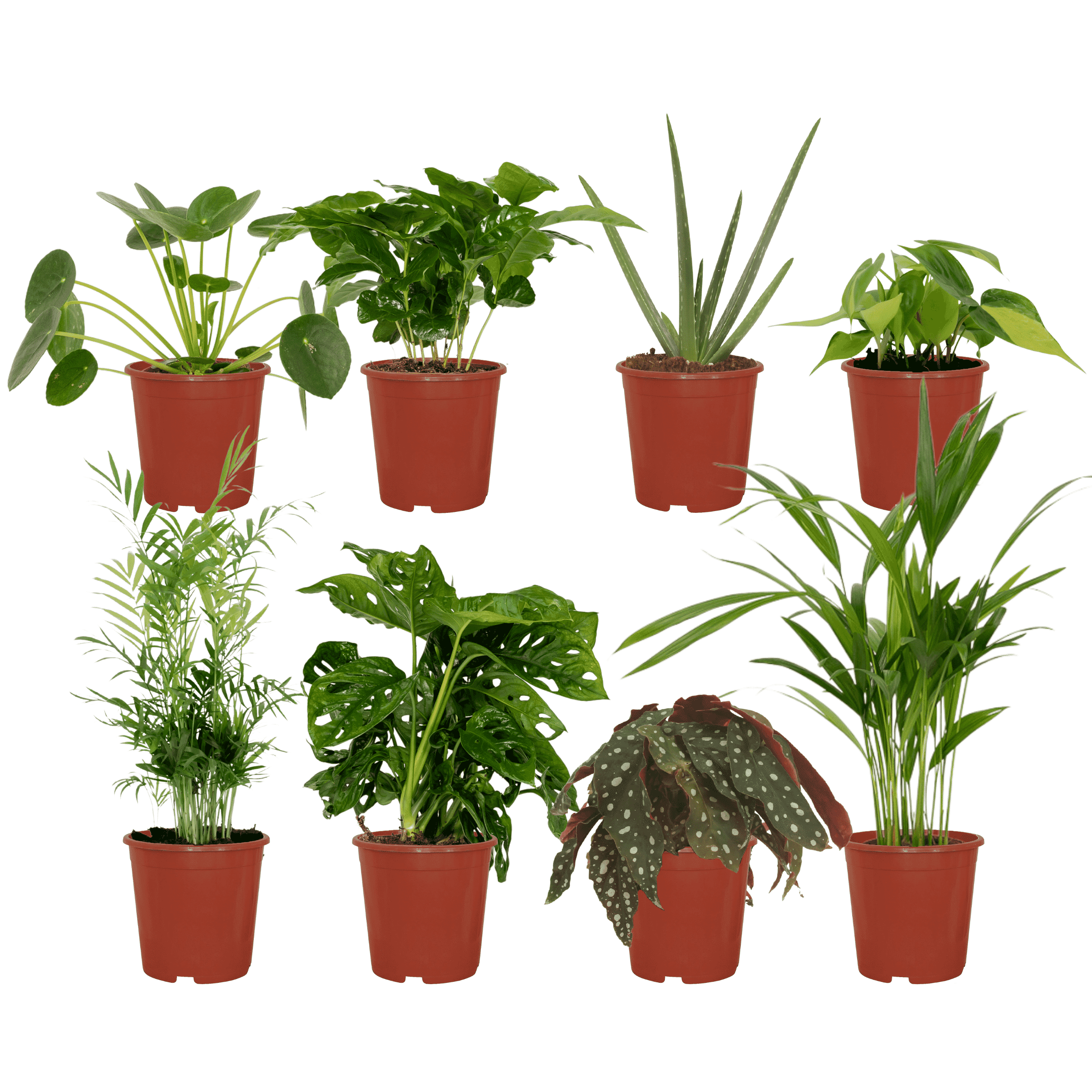 Kantoor plantenbox Mini Set van 8 stuks - Groen