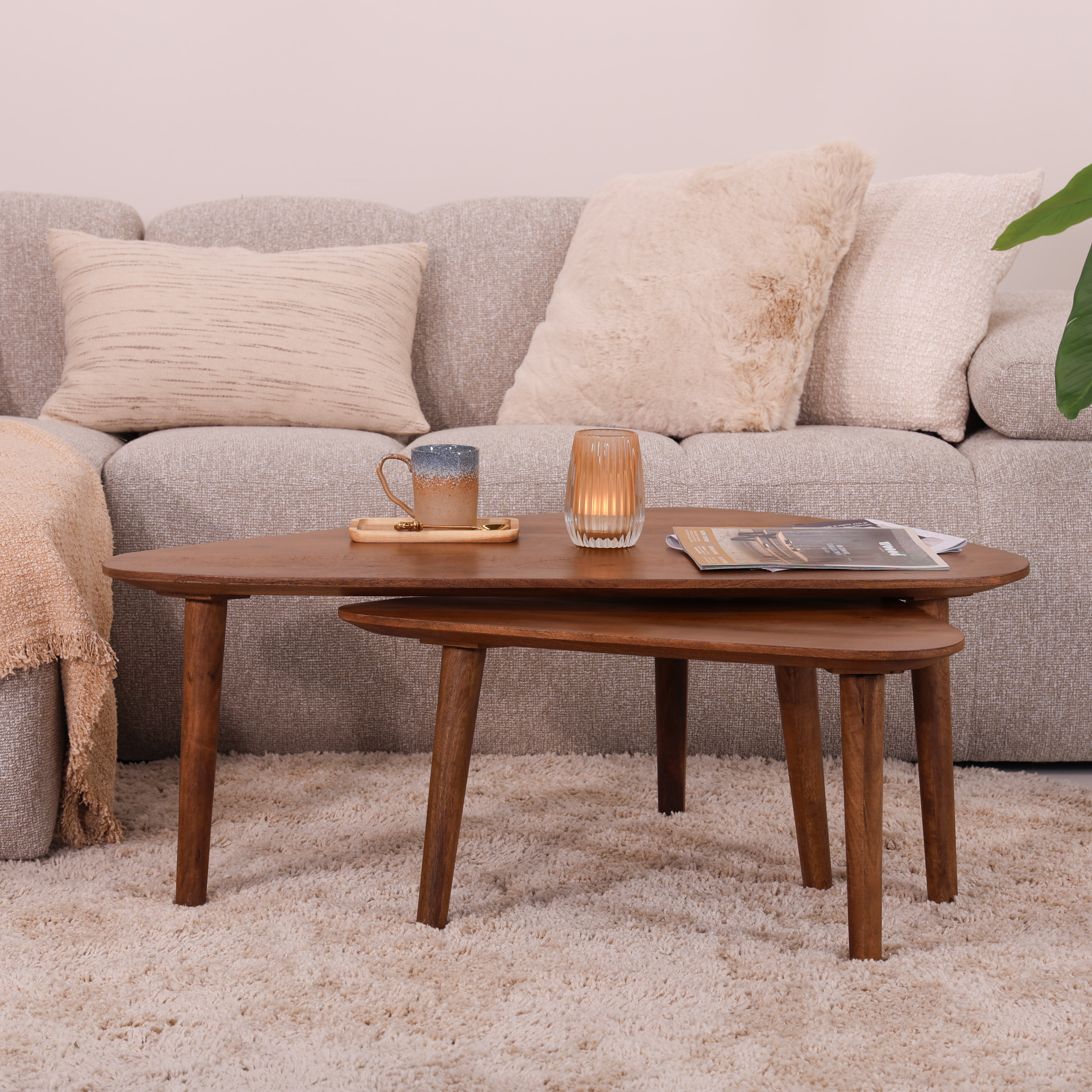 Sohome Organische Salontafel 'Yaden' Mangohout, Set van 2 stuks